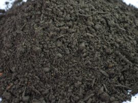 biocompost